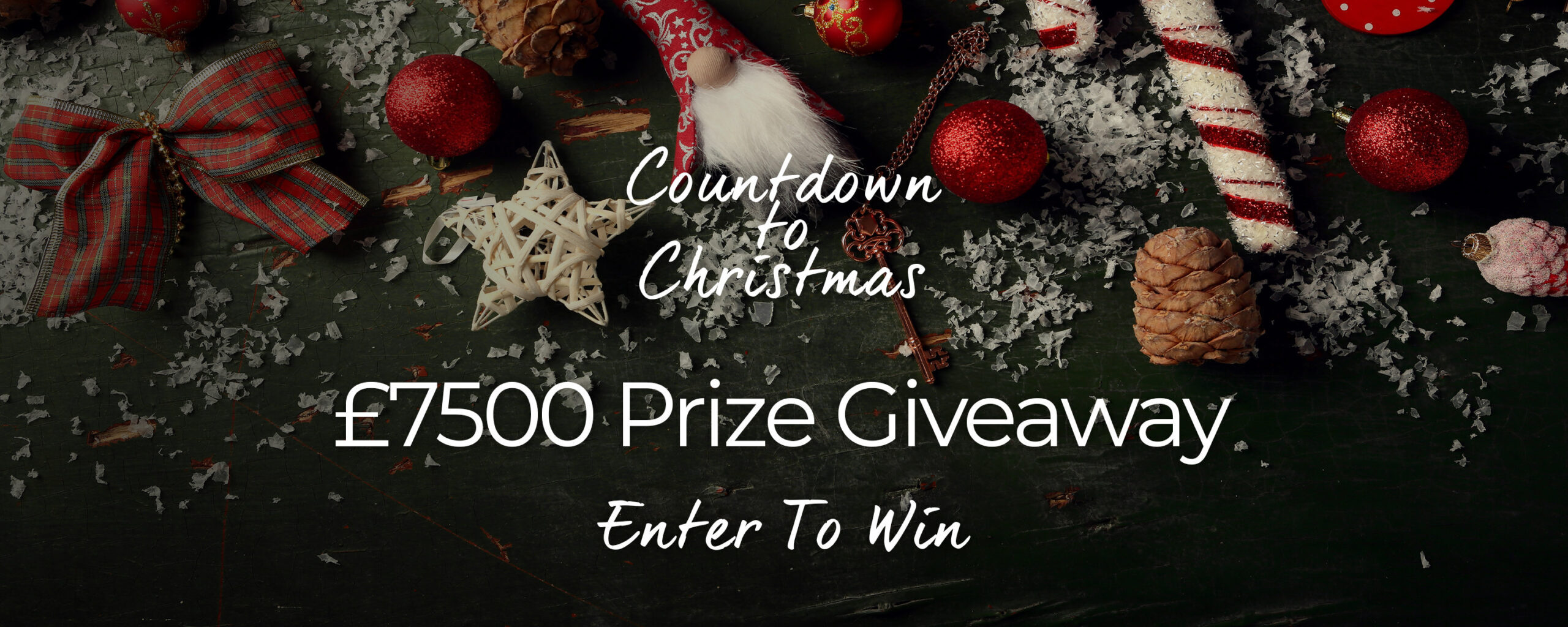 Christmas Portrait Giveaway